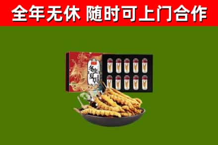 江汉回收冬虫夏草价格